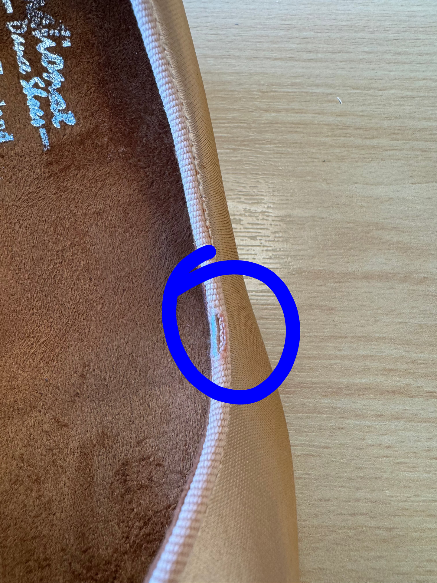 ICS Vista SingleStrap - Peach Satin - Size 6 - Wide
